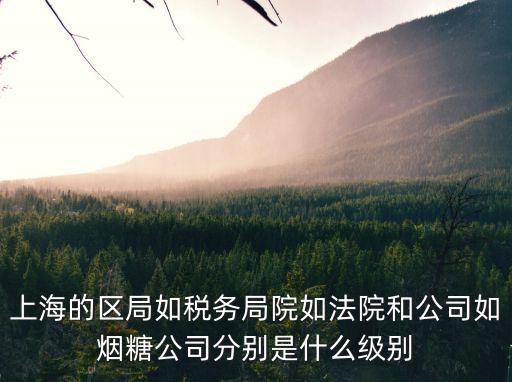上海的區(qū)局如稅務(wù)局院如法院和公司如煙糖公司分別是什么級(jí)別
