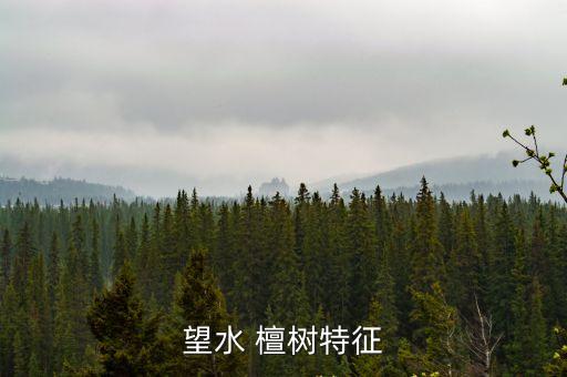 望水 檀樹特征