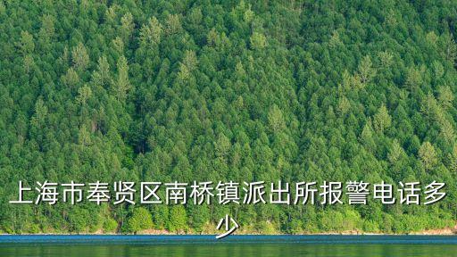 上海市南橋鎮嵇紹扣電話號碼，上海市奉賢區南橋鎮派出所報警電話多少
