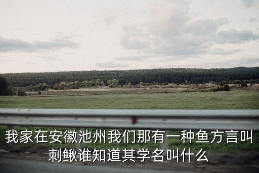 我家在安徽池州我們那有一種魚方言叫刺鰍誰知道其學(xué)名叫什么