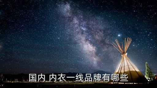 國內 內衣一線品牌有哪些