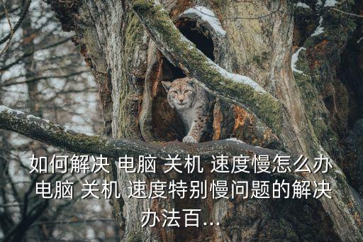 電腦關機速度很慢,為什么系統(tǒng)關機進程慢?