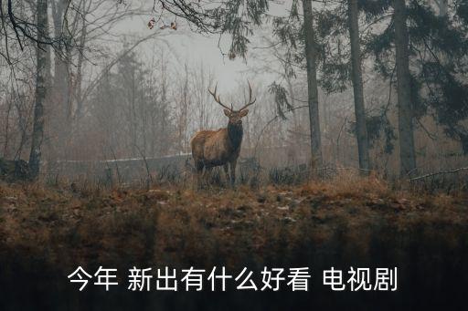 新出電視劇,《大福琴》講述天窗主人不惜犧牲生命退出故事