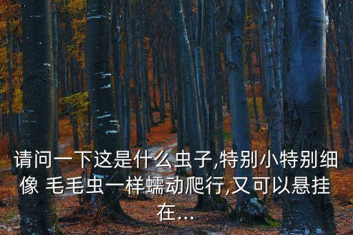 毛毛蟲圖片,最具破壞性的是東方毛毛蟲!