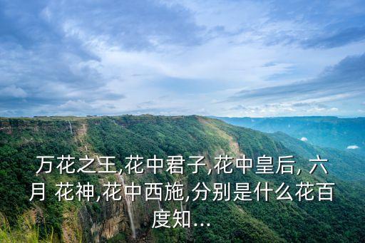 萬花之王,花中君子,花中皇后, 六月 花神,花中西施,分別是什么花百度知...