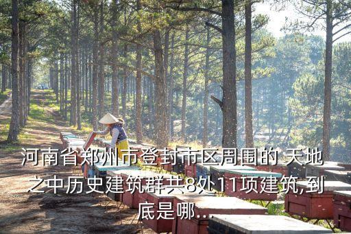 河南省鄭州市登封市區周圍的 天地 之中歷史建筑群共8處11項建筑,到底是哪...