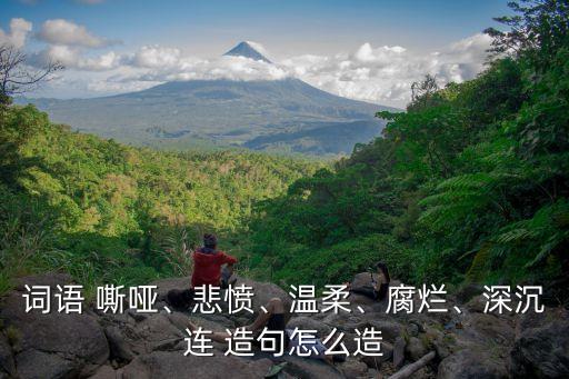 詞語 嘶啞、悲憤、溫柔、腐爛、深沉連 造句怎么造