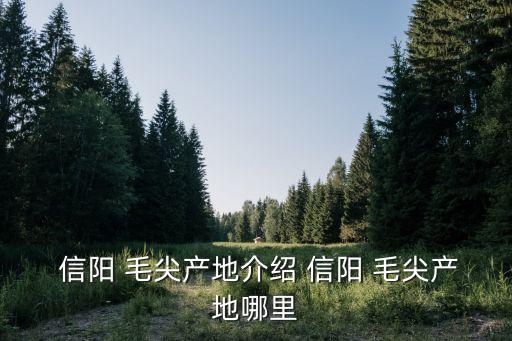 河南信陽毛尖,中國十大名茶之一信陽毛尖下架