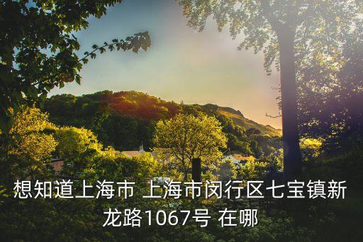想知道上海市 上海市閔行區七寶鎮新龍路1067號 在哪