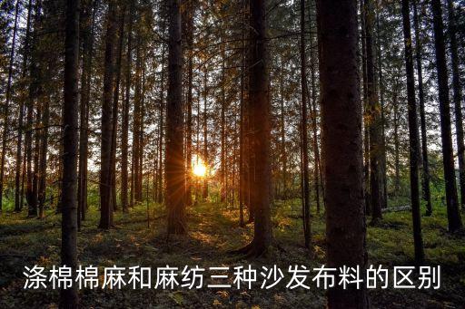 麻紡，滌棉棉麻和麻紡三種沙發布料的區別