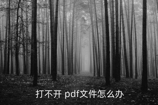pdf打不開,電腦上是否安裝pdf閱讀軟件?