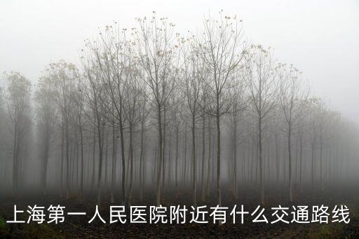 上海第一人民醫院附近有什么交通路線