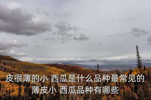 皮很薄的小 西瓜是什么品種最常見的薄皮小 西瓜品種有哪些