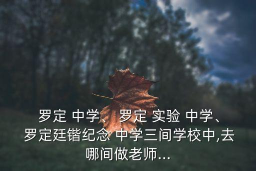 羅定 中學、 羅定 實驗 中學、 羅定廷鍇紀念 中學三間學校中,去哪間做老師...