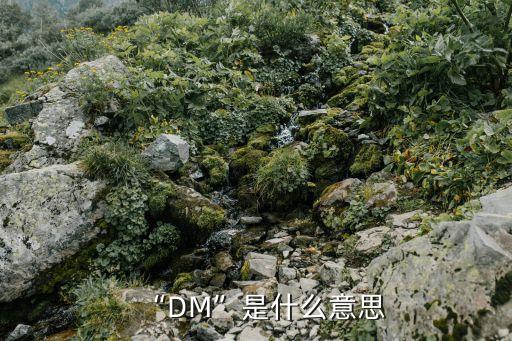 “DM”是什么意思