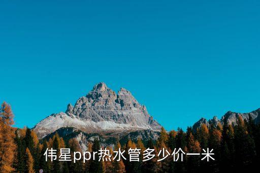 上海市場偉星水管多少錢一米，偉星ppr熱水管多少價(jià)一米