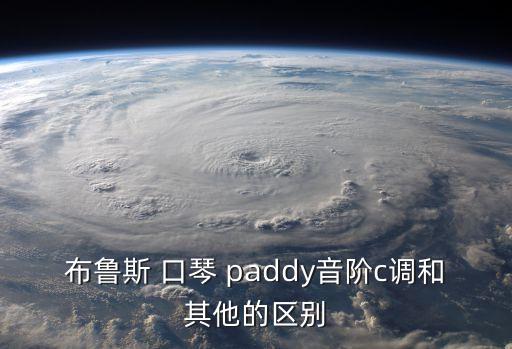 paddy口琴,怎么樣選擇佩dy口琴?