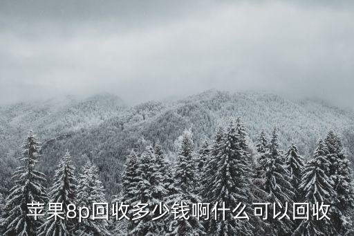 收蘋果,高山蘋果產量有限商家應聯系不熟單一品牌