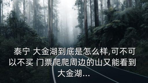  泰寧 大金湖到底是怎么樣,可不可以不買 門票爬爬周邊的山又能看到 大金湖...