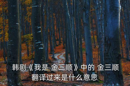  韓劇《我是 金三順》中的 金三順翻譯過來是什么意思