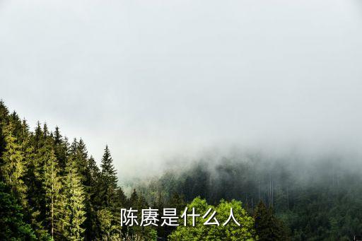 陳庚，陳賡將軍的個人資料