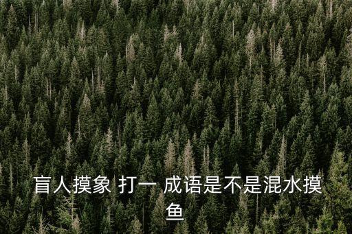 盲人摸象 打一 成語是不是混水摸魚