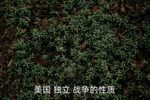 美國(guó) 獨(dú)立 戰(zhàn)爭(zhēng)的性質(zhì)