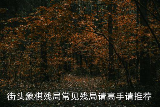 街頭殘局，街頭殘局對A對10打2KKKQQQ778899十三張求多方