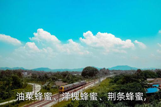  油菜蜂蜜、洋槐蜂蜜、荊條蜂蜜,