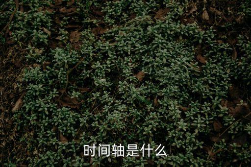 時間軸,中國時間軸軟件定義:不信任不社交有信任就有交易
