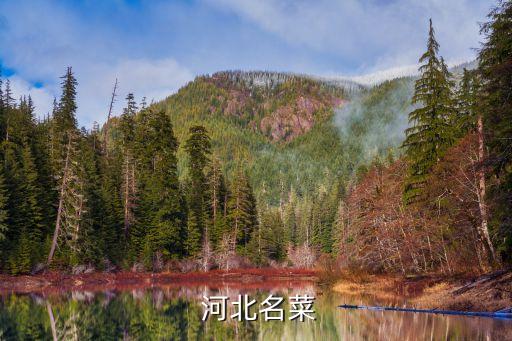 河北特色菜,河北菜系代表菜品包括李氏獅子頭、豬扒肉、魚炒蟹