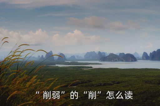削弱,切字讀作xiao時(shí)可單獨(dú)使用