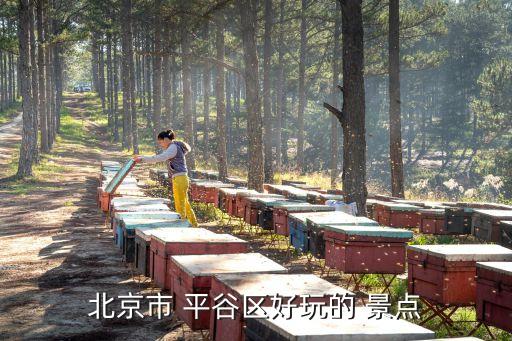 平谷旅游景點(diǎn)大全,吉雅山在順義附近景點(diǎn)應(yīng)該是峪口鎮(zhèn)平谷