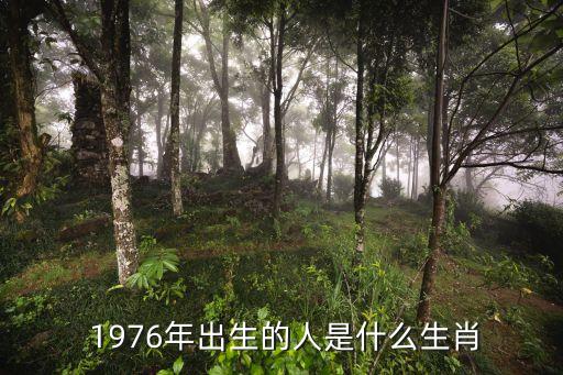 1976屬什么,農歷三年是什么年份?