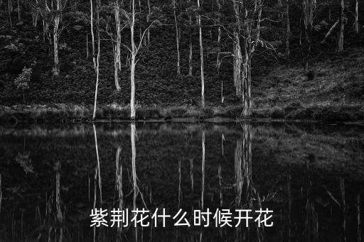 紫荊花什么時(shí)候開(kāi)花