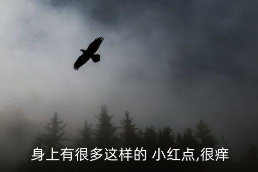身上長小紅點很癢,衛生棉浸濕消毒后擦拭干凈再沖洗!