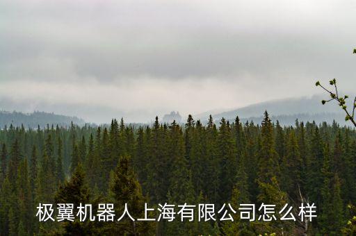 極翼上海市公司，上海宜山路900號科技大廈C座9樓是什么公司