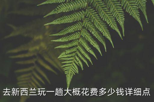 去新西蘭玩一趟大概花費多少錢詳細點