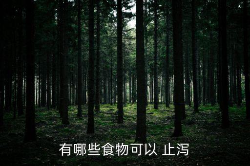 有哪些食物可以 止瀉