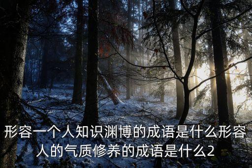 形容一個人知識淵博的成語是什么形容人的氣質修養的成語是什么2