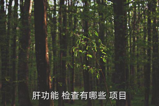 肝功能 檢查有哪些 項目