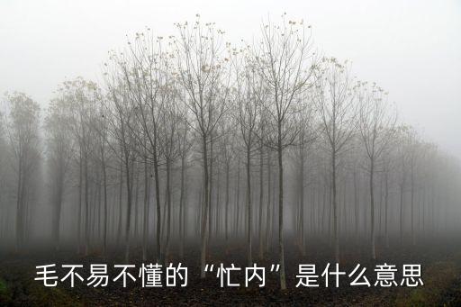 忙內(nèi)是什么意思,nei拼音是nei元音是一個音變的!