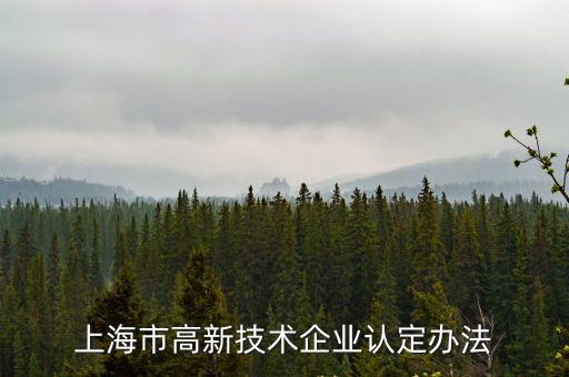 上海市高新技術(shù)企業(yè)認(rèn)定辦法