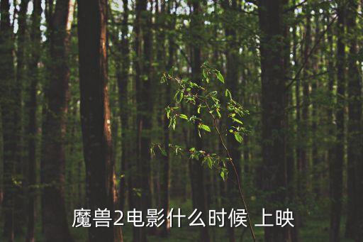  魔獸2電影什么時候 上映