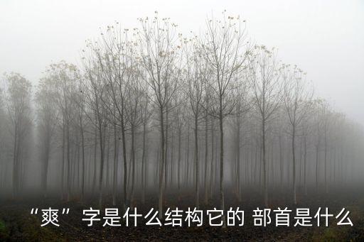 爽的部首是什么,第二集:爽字拼音:大,二、小