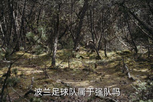 波蘭隊,18年世界杯波蘭國家隊名單出爐
