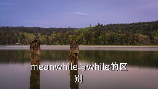 meanwhile與while的區別