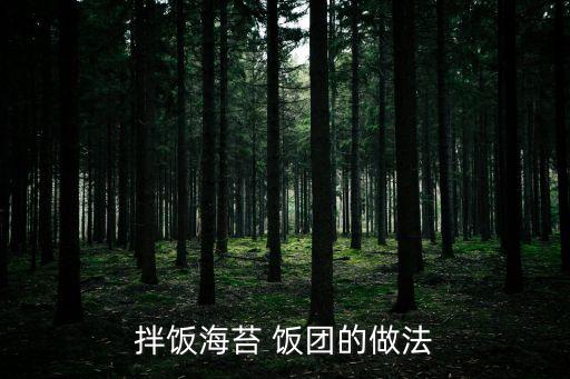 飯團圖片,如何做海苔飯團?