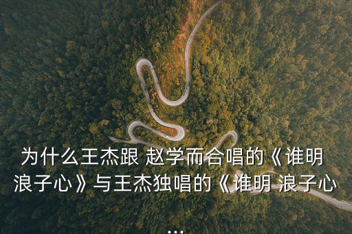 誰(shuí)明浪子心趙學(xué)而,王杰與趙學(xué)合唱《誰(shuí)知道浪子心》專輯封神