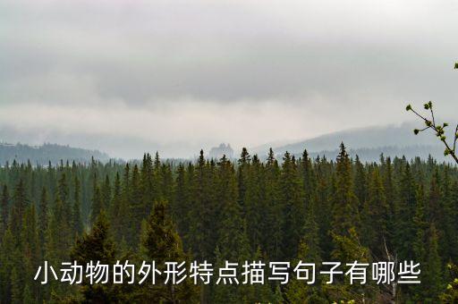 狗的外形特點描寫，描寫小狗的外形特點100字